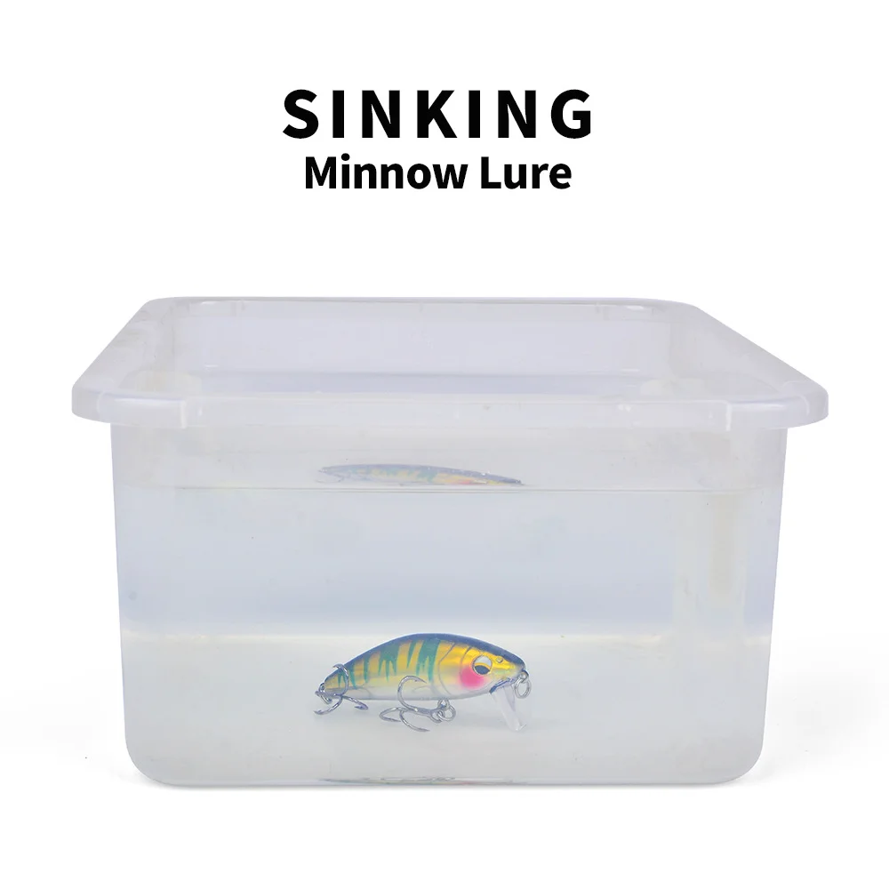 Sinking Action Demonstration – Lure in Water Tank