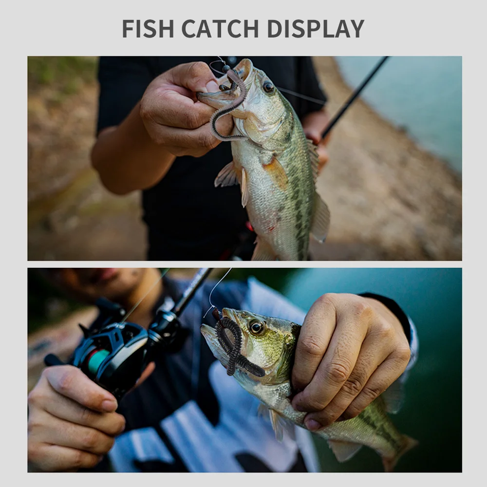 fish catch display