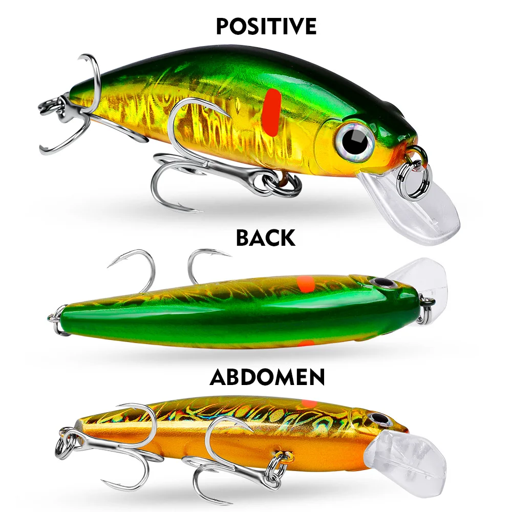 Views of the lure’s body - top, back, and abdomen in high detail.