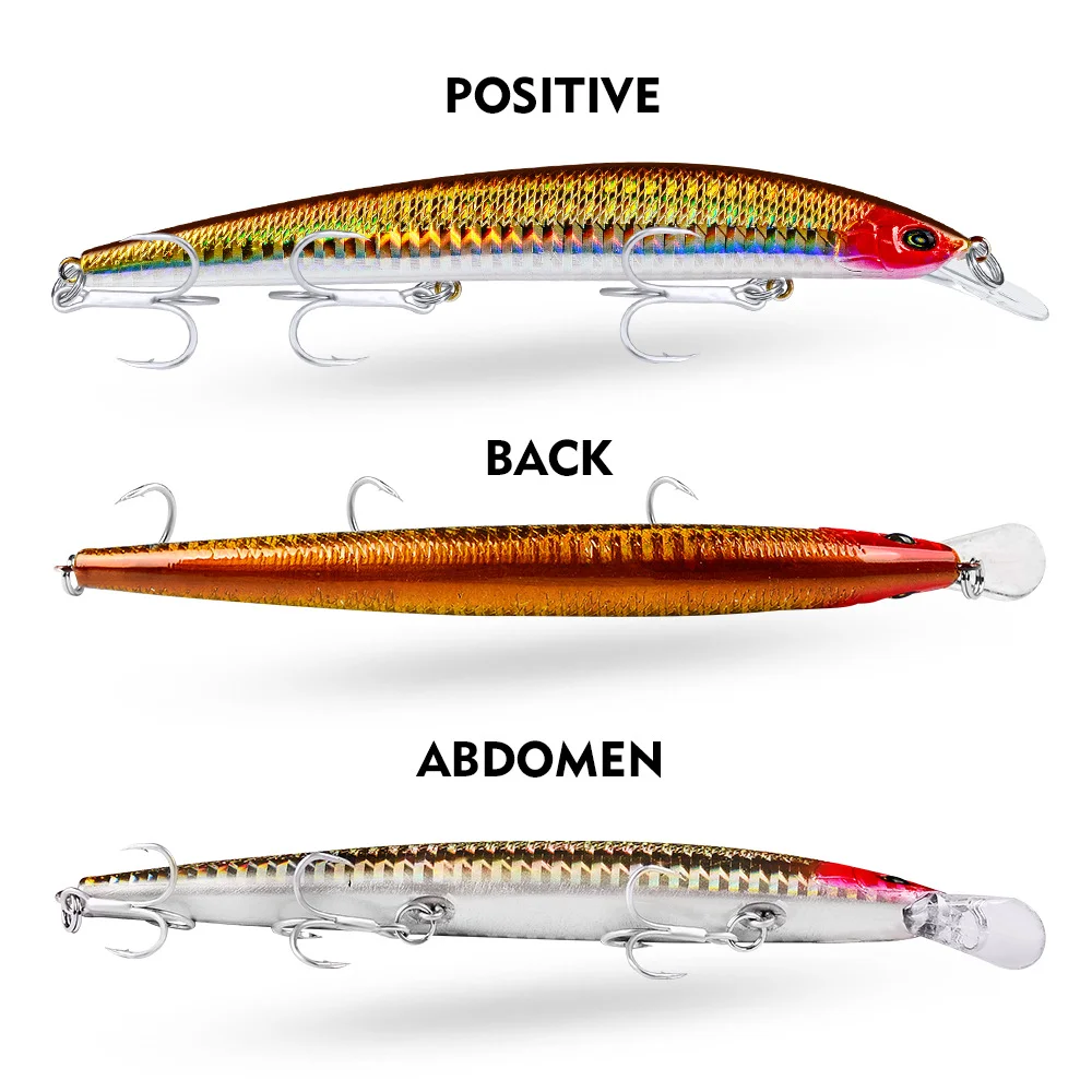 Side-by-side display of lure from top, side, and bottom labeled Positive, Back, Abdomen
