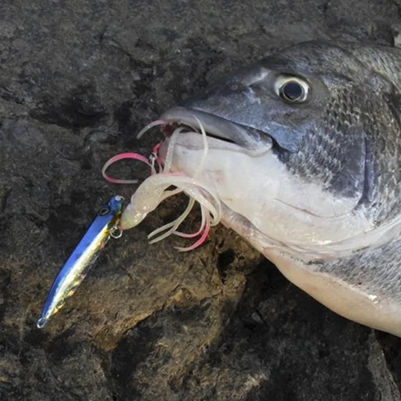 Jig is easy to catch fish