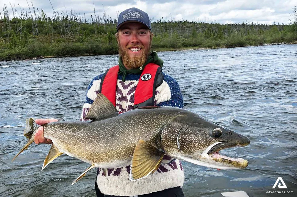 misty_canadian_lake_trout_rising