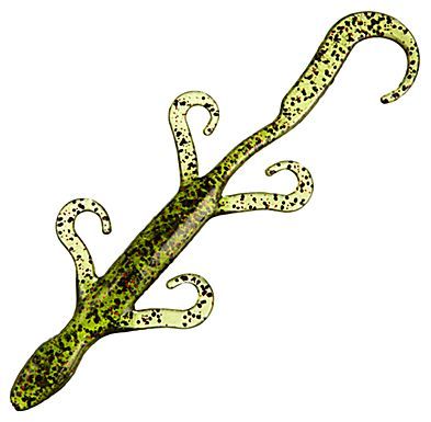 Lizards lure